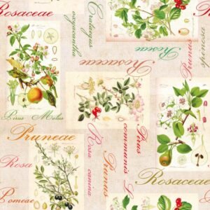 d-c-fixÂ® 20m Roll x 140cm Manhattan Tablecloth - Rosalie