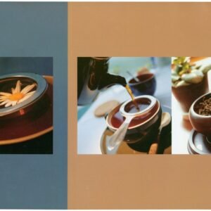 d-c-fixÂ® Pack 12 Rio Placemat - Tea