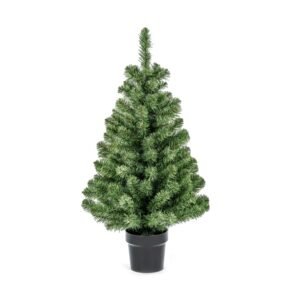Premier 90cm Woodcote Spruce In Pot