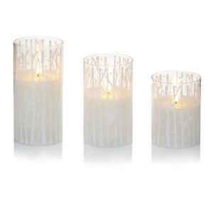 Premier Set 3 Printed Glass Candles Woodland White