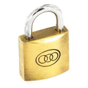 Tricircle Brass Padlock