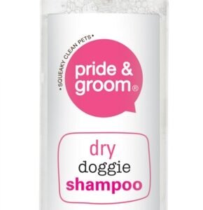 Dry Shampoo Spray