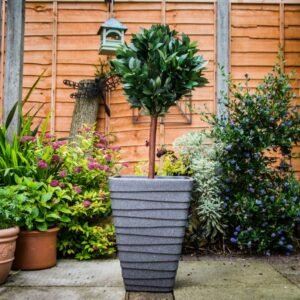 Tall Square Trojan Planter 40cm