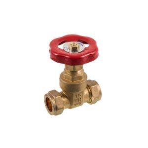 Brass CXC Gate Valve