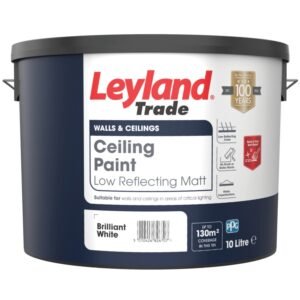 Ceiling Paint 10L