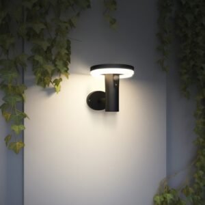 Antheia Solar Wall Light