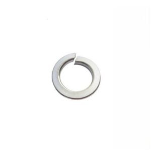 Spring Washers Zp Assorted